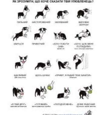 druh-1_page-0002-212×300