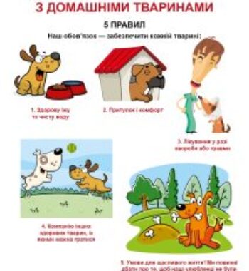 druh-1_page-0005-212×300