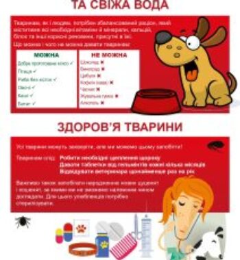 druh-1_page-0007-212×300