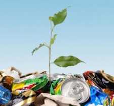 Вплив сміттєзвалищ на довкілля та здоров’я людей