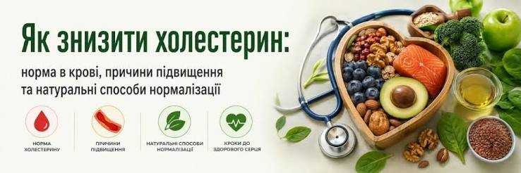 Причини підвищеного холестерну та як його знизити